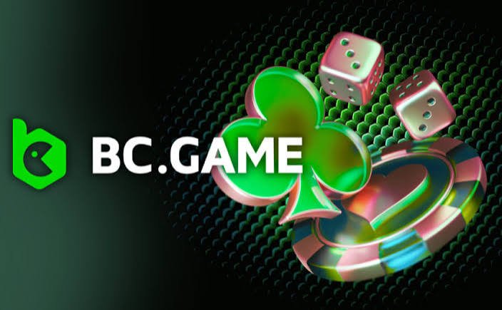 BC App Overview Your Ultimate Mobile Companion